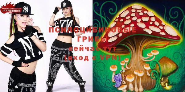 spice Алексеевка